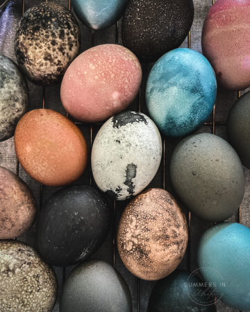 Naturally Dyed Easter Eggs