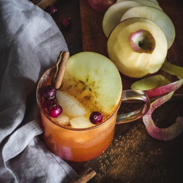 Homemade apple cider in mug with cinnamon sticks