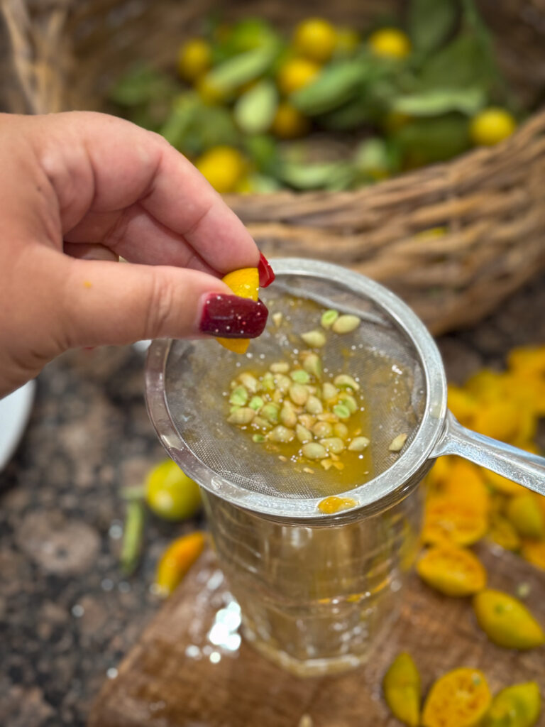 squeezing fresh calamansi 