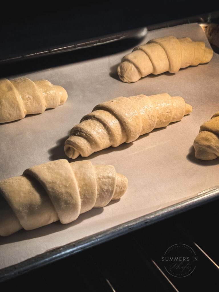 Frozen croissants thawing in oven